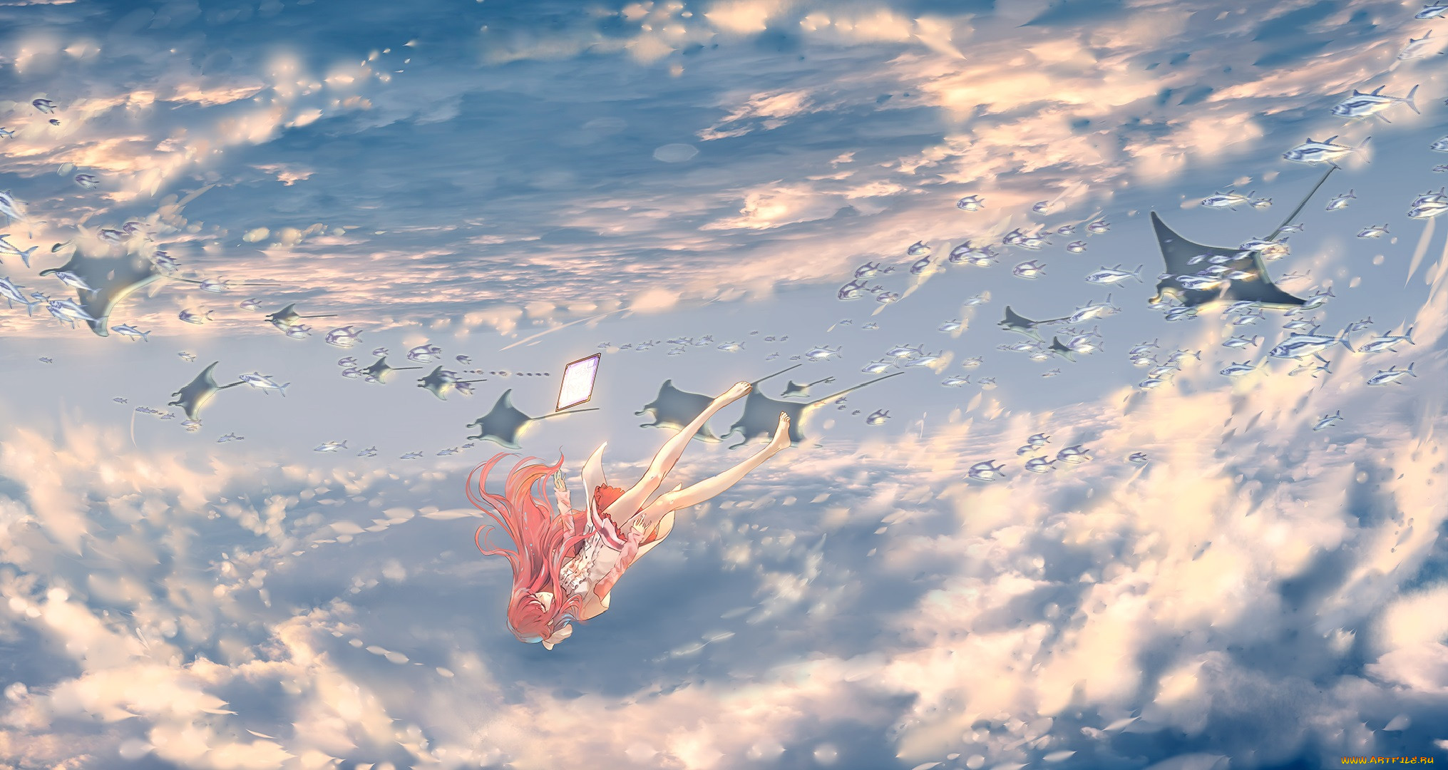 , shelter, rin